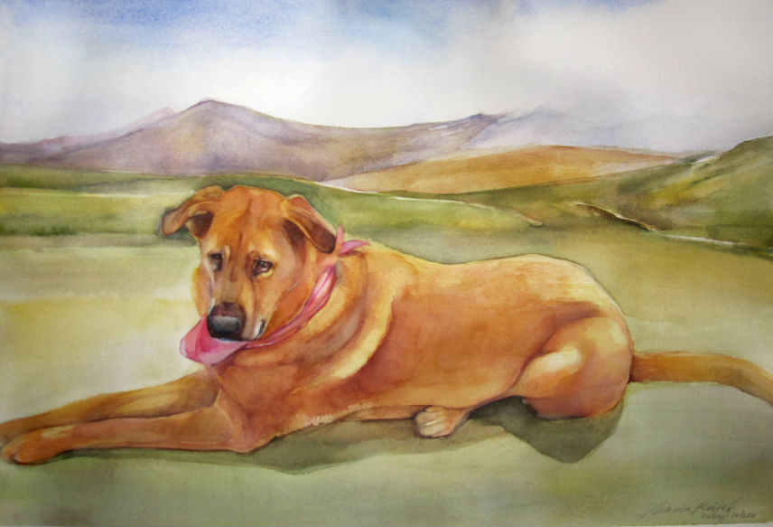 Pookie, watercolor on 300lb Arches paper, 48" x 24", 2010, sold
