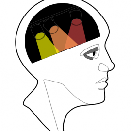 Head
